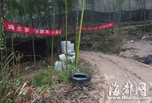 进山路口挂着养鸡标语,四周围着黑色的遮阳网,用来掩人耳目 进山路口挂着养鸡标语,四周围着黑色的遮阳网,用来掩人耳目