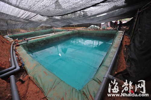 养鸡场内藏着好几个这样的洗矿池,一层层排列如梯田 养鸡场内藏着好几个这样的洗矿池,一层层排列如梯田