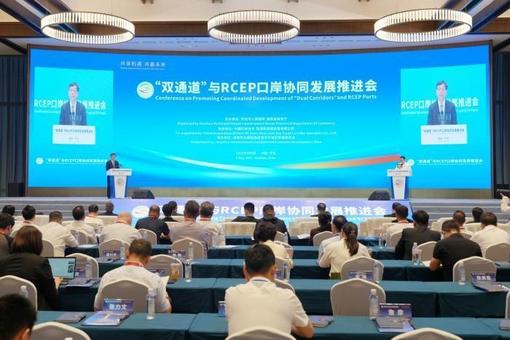 专家齐聚湖南怀化探讨“双通道”与RCEP口岸协同发展