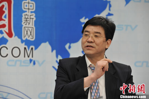 专家称中国投票系经过严肃考虑该出手时就出手