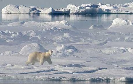 Ӣר�ҳ�2015����������ȫ��ʧ�����ܻ����