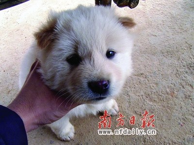 㶫ֹȮΥͳһսɲɱͼ