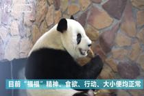 ����è����������ָ�����