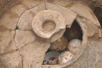 2500年前古墓挖出一罐鸡蛋