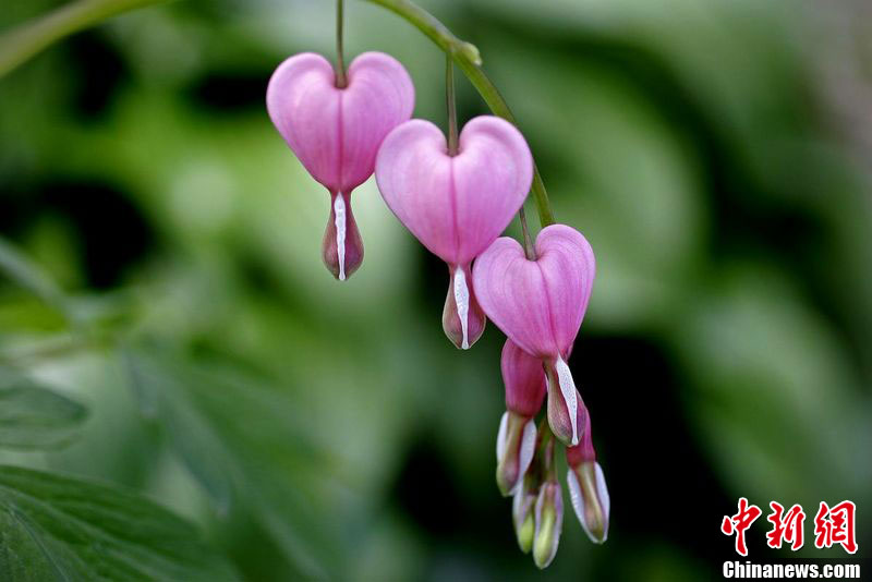 ����ȻҲ����——�����Ρ�����